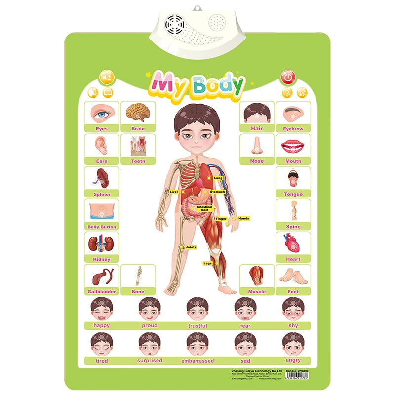Talking ABC Wall Chart